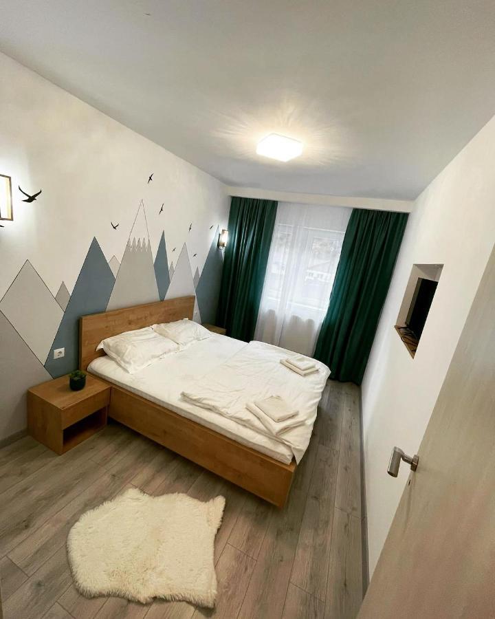 Mountain View Apartment ซินายา ภายนอก รูปภาพ