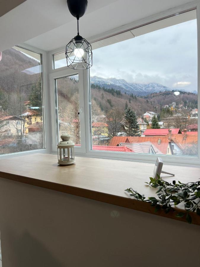 Mountain View Apartment ซินายา ภายนอก รูปภาพ